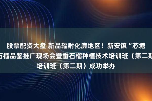 股票配资大盘 新品辐射化廉地区！新安镇“芯塘红”无籽番石榴品鉴推广现场会暨番石榴种植技术培训班（第二期）成功举办